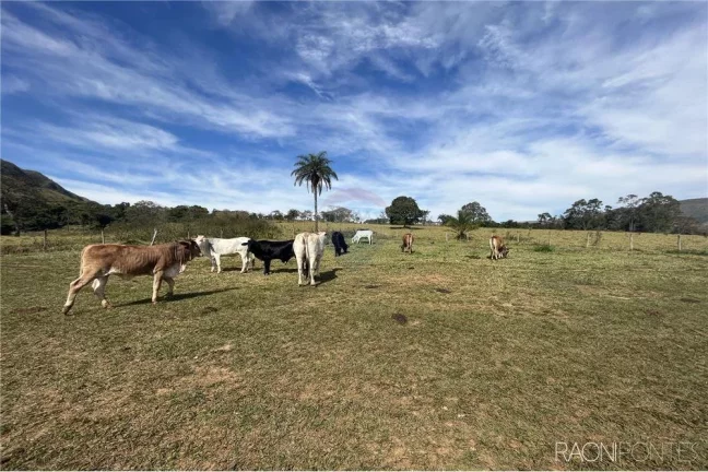 Imagem Fazenda à Venda, 720.000 m² em Centro - São Roque De Minas