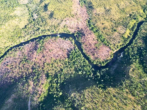 Imagem Um território de águas vivas no coração do Jalapão.