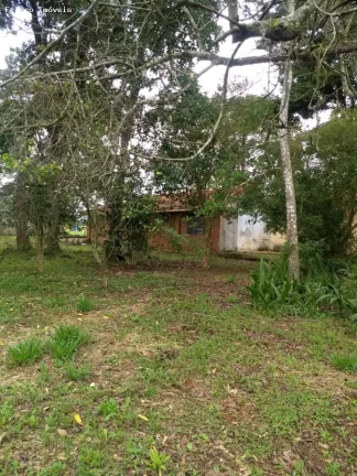 Imagem Sítio para Venda em Suzano, Ipelândia