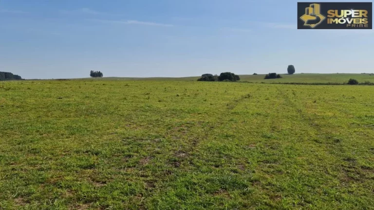 Imagem Fazenda Mista em Pedras Altas-RS