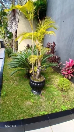 Imagem Kitnet com 1 quarto para alugar, 18 m² Vila Indiana - Butantã - São Paulo/SP