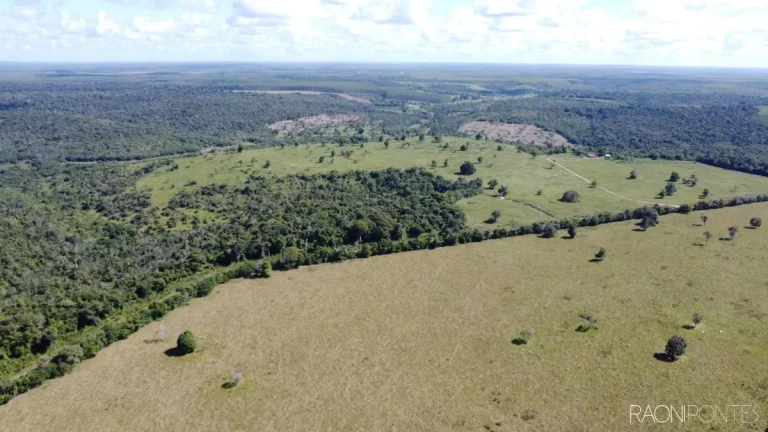 Imagem Fazenda à Venda, 7.140.000 m² em Zona Rural - Cardeal Da Silva