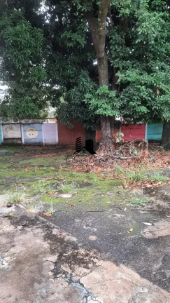 Imagem Lote à Venda no Bairro Glória Belo Horizonte MG