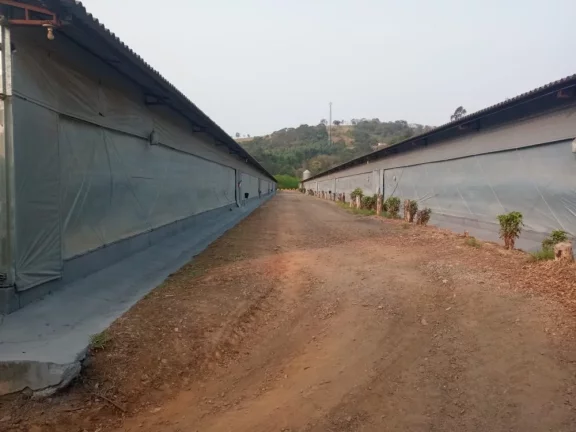Imagem Rural a Venda no bairro Boa Vista dos Silva - Bragança Paulista, SP