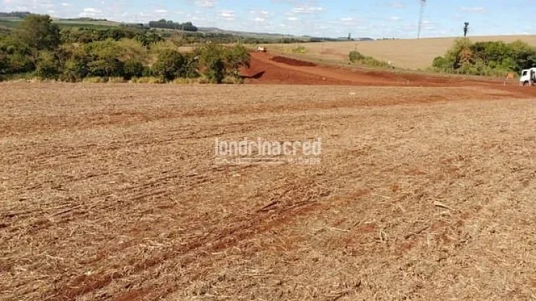 Imagem Chácara à venda 3000M², Centro, Cornélio Procópio - PR