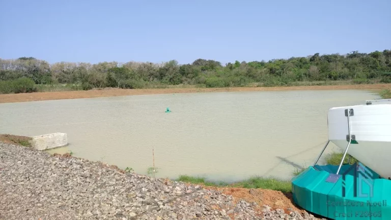 Imagem Sítio Produtivo de 5 alqueires, 7 tanques, em São Miguel do Iguaçu PR