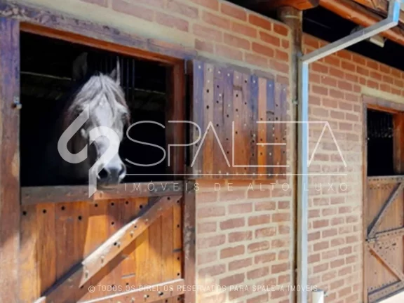 Imagem Fazenda cinematográfica com 120 alqueires à venda em Sapucaí Mirim em Minas Gerais