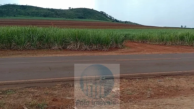 Imagem Fazenda Palmira 773 alqueires, a 60 km de Ribeirão Preto - SP, estrutura, cana e muita água - Serra Azul - SP - Brasil