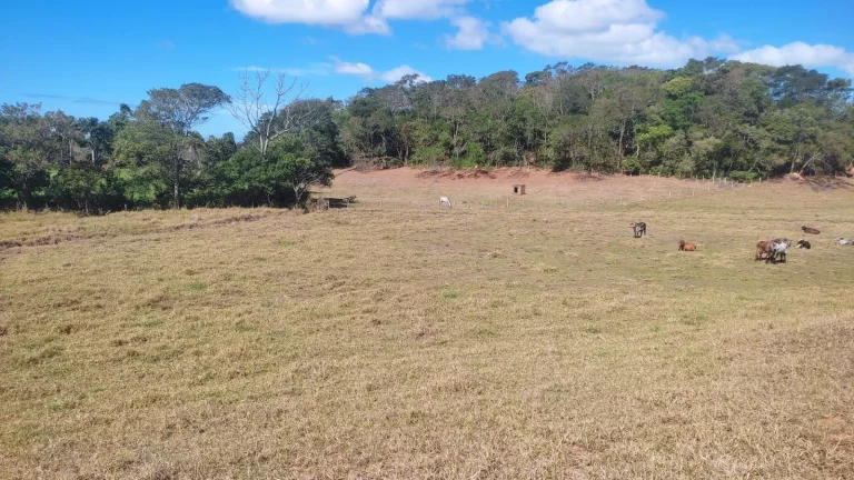 Imagem AREA RURAL em GUARAPARI - ES, COMUNIDADE URBANA DE SAMAMBAIA