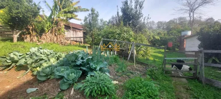 Imagem Chácara - Sítio com 4 Dormitorio(s) localizado(a) no bairro Rodeio Bonito em Três Coroas / RIO GRANDE DO SUL Ref.:1541