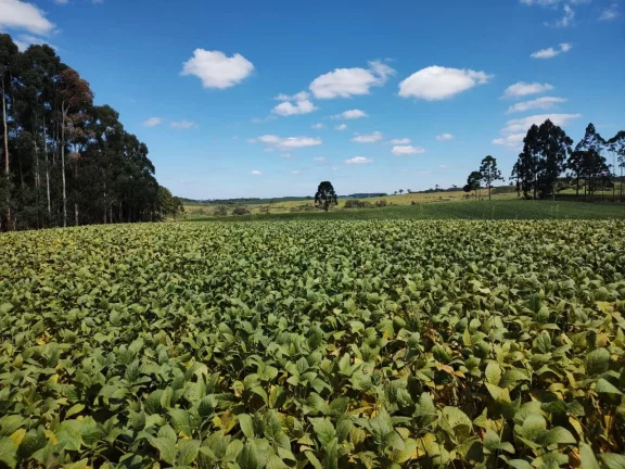 Imagem TERRENO RURAL em CAMPO BELO DO SUL - SC, Área Rural