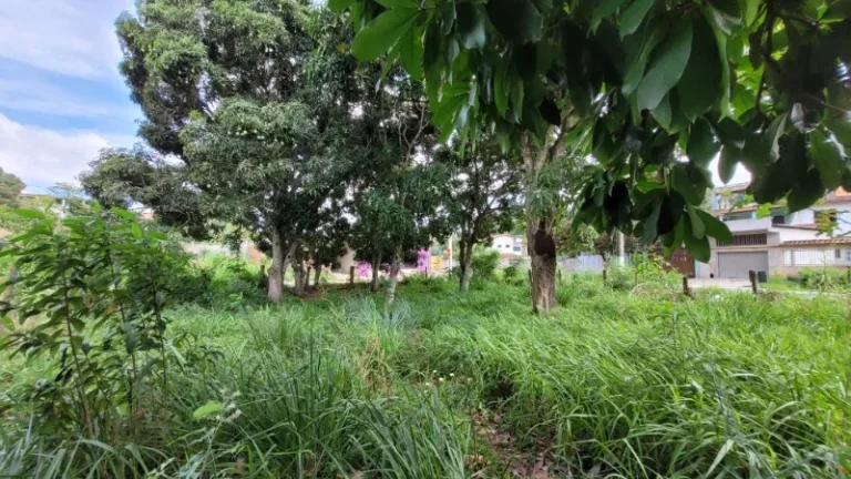 Imagem TERRENO RESIDENCIAL em SERRA - ES, ENSEADA DE JACARAÍPE