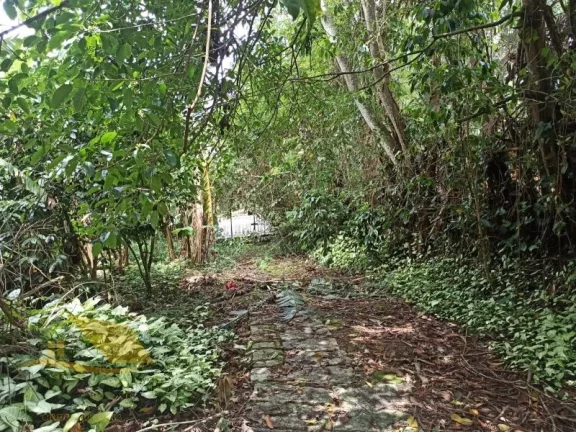 Imagem Vendo Chácara a 1Km do Centro com 5 mil Mts²