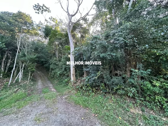 Imagem Terreno Residencial ou comercial à venda com 81.400 m² na Praia de Taquaras em Balneário Camboriú