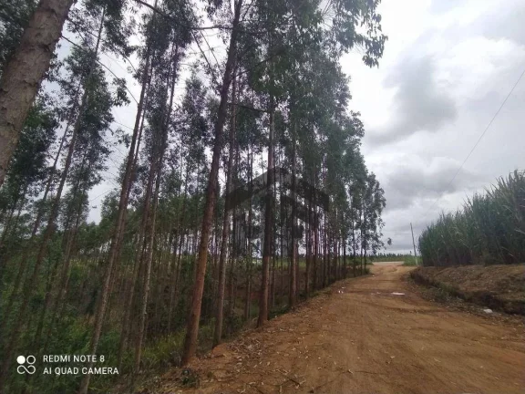 Imagem Sitio com 06 quartos, localizado na Estrada Chã de Alegria, 10 km, Paudalho, PE