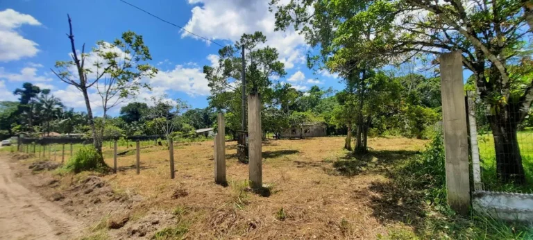 Imagem Chácara para Venda em Itanhaém, Gaivota (Interior), 2 dormitórios, 1 banheiro, 15 vagas