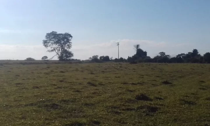 Imagem Sítio - Vende Promissão ( prox. Marília) e Região/SP