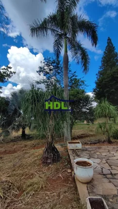 Imagem Chácara com 4 Hectares em Hidrolândia - GO