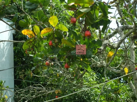 Imagem Casa para Venda em Maricá/RJ - 4 Dorm. 280 m2 Área Útil