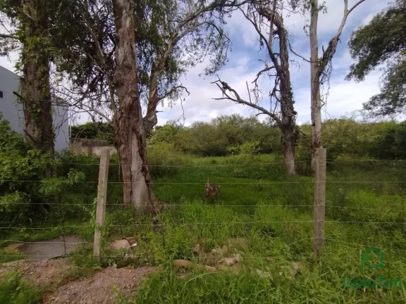 Imagem Terreno para aluguel, Ponta Grossa, Porto Alegre/RS. - TE2520