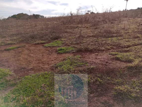 Imagem Sítio vende 10 alqueires em Altinópolis - SP, terra de cultura, vermelha e em pasto.