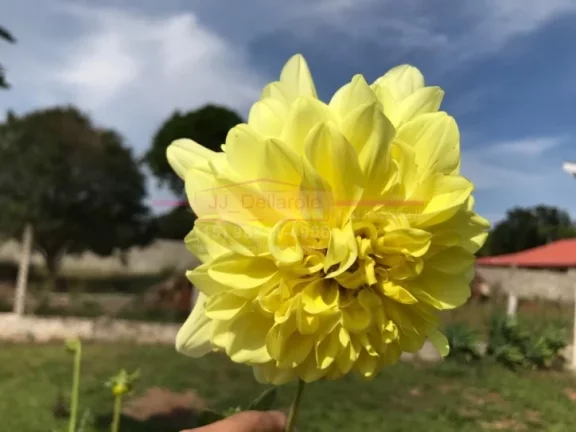 Imagem Chácara com muito verde dentro de condomínio Residencial