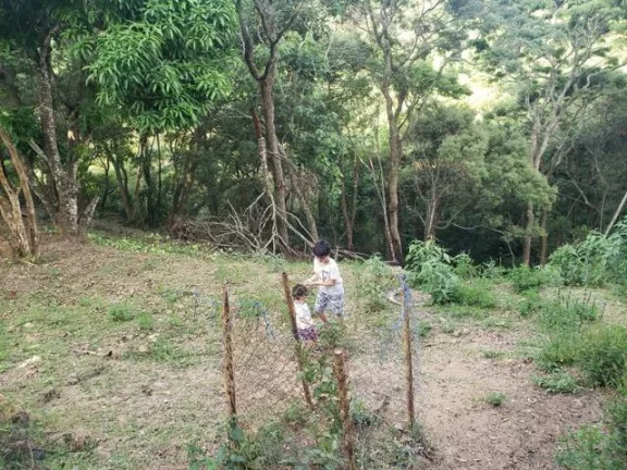 Imagem Chácara Completa com 2 Casas Escriturada Ótimo Acesso!