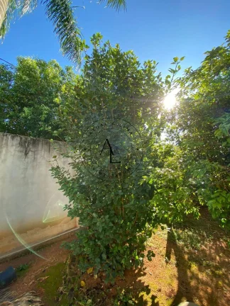 Imagem Oportunidade Única! Linda Chácara à Venda em Campinas – Conforto e Natureza em um Só Lugar!