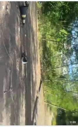 Imagem VENDO TERRENO DE 7 MILM2 NO CONDOMÍNIO BARRA SUL BARRA DA TIJUCA