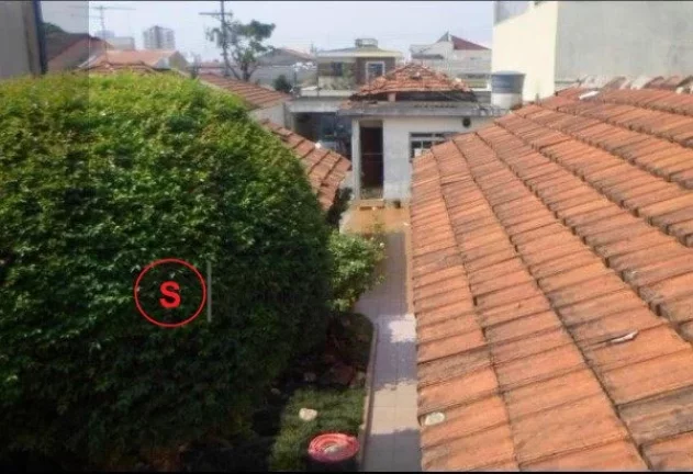 Imagem CASA TERREA Vila Zelina 200m Construída 430m Terreno plano 10,00 x 43,00 10m de frente 43m de fundo 03 Dormt 01 Sala 01 Cozinha 06 Vagas 01 wc 01 Lavanderia