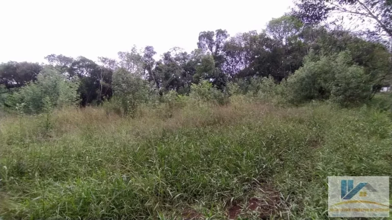 Imagem Terreno para Venda em São José dos Pinhais, Campestre da Faxina
