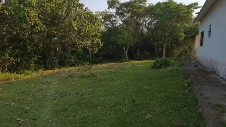 Imagem Chácara com 4 dormitórios à venda, 40000 m² por R$ 1.250.000,00 - Quinta Divisão - Suzano/SP