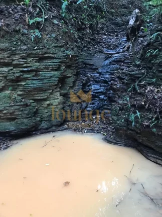 Imagem Sítio em Pilar do Sul