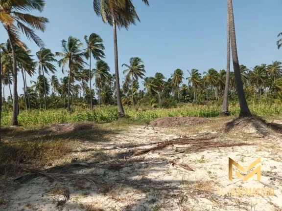Imagem Terreno à venda, 18615 m² por R$ 3.600.000 - Ilha do Guajiru - Trairi/CE