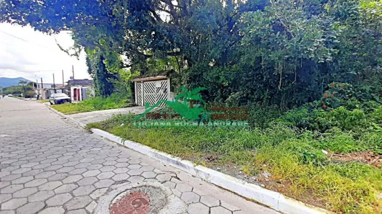 Imagem Terreno Padrão