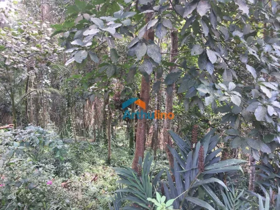 Imagem Terreno à venda, 2765 m² por R$ 450.000,00 - Chácara Represinha - Cotia/SP