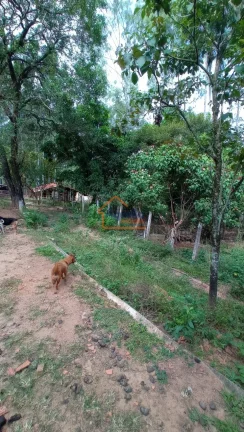 Imagem Sítio à venda no bairro Jardim Primavera - Mogi Mirim/SP