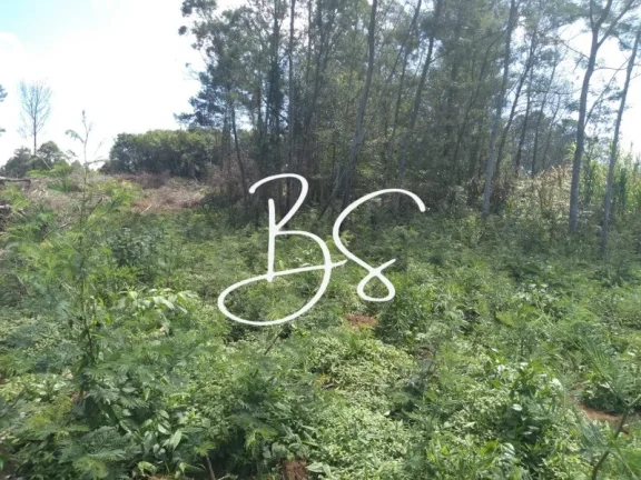 Imagem SITIO RURAL em IGREJINHA - RS, Serra Grande