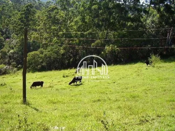 Imagem Sítio com 3 dormitórios à venda, 79000 m² por R$ 1.276.000,00 - Santa Clara - Jundiaí/SP