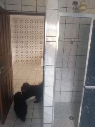 Imagem São 4 Casas (A principal é térrea) em 450m², Ótimo para Locação, são 6, 3, 2 ,2 Cômodos, Escritura no Jardim Zaíra 3, Mauá-SP
