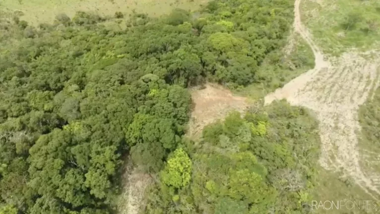 Imagem Fazenda à Venda, 1.920.000 m² em Zona Rural - Sacramento
