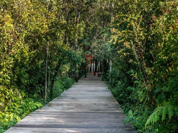 Imagem Lotes no Santa Bárbara Resort ,a partir de 450m² no maior loteamento de lazer do Brasil