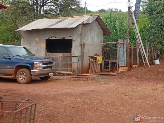 Imagem Fazenda à Venda em Patos de Minas – 6 Hectares na Zona Rural por R$ 1,8 Mi