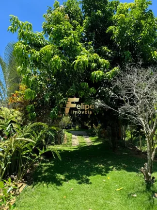 Imagem Linda propriedade à venda!