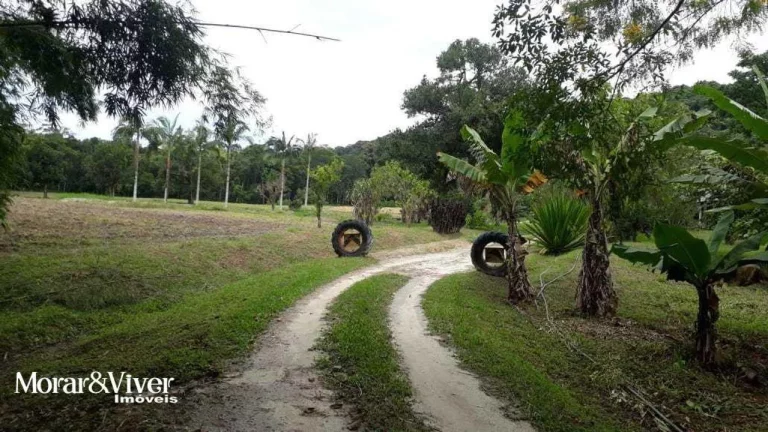 Imagem Sítio para Venda em Paranaguá, Alexandra, 3 dormitórios, 1 banheiro, 2 vagas
