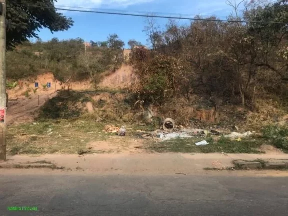 Imagem EXCELENTE LOTE