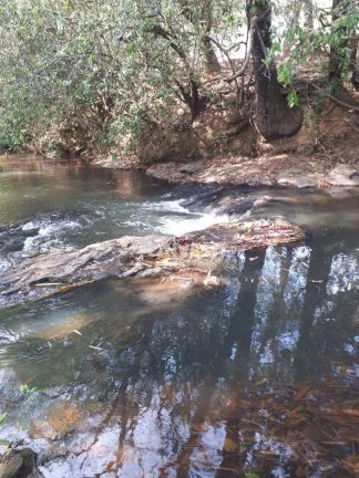 Imagem Chácara à venda em Cachoeirinha - Aragoiânia/GO
