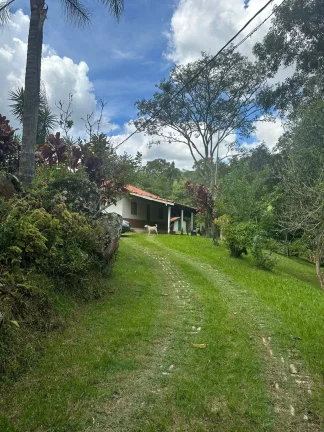 Imagem Sitio barato e com escriturta a venda na cidade de Cunha