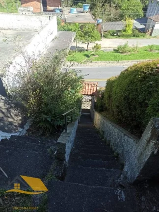 Imagem Vendo Chácara em Theodoro com 3 quartos, 1 suíte e 5 mil mts² de terreno.