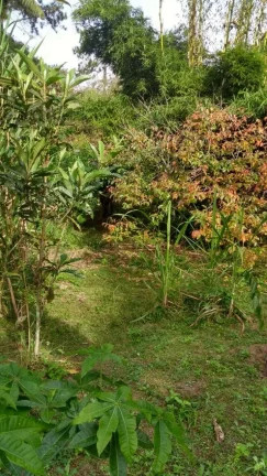 Imagem Vendo esta linda chácara em Nova Friburgo com 15.000m2.
